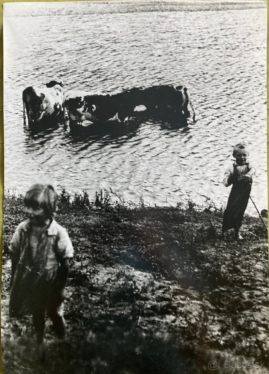 Irena Blühová - Najmladší pastier kráv