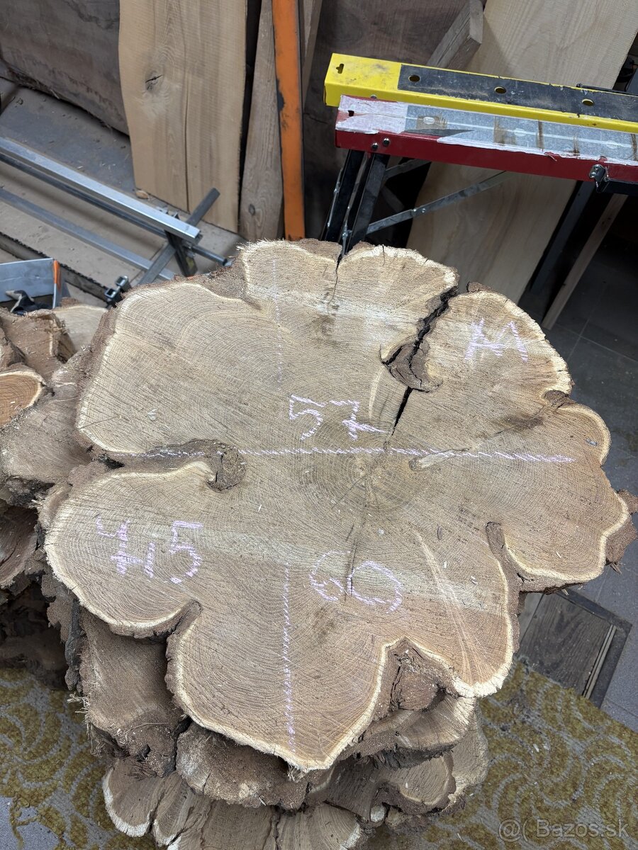 Vysušené agátové koláče / priečne rezy, agát