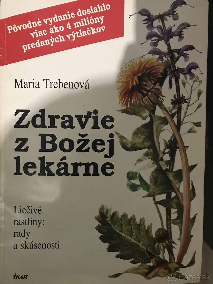 Bylinkarska kniha