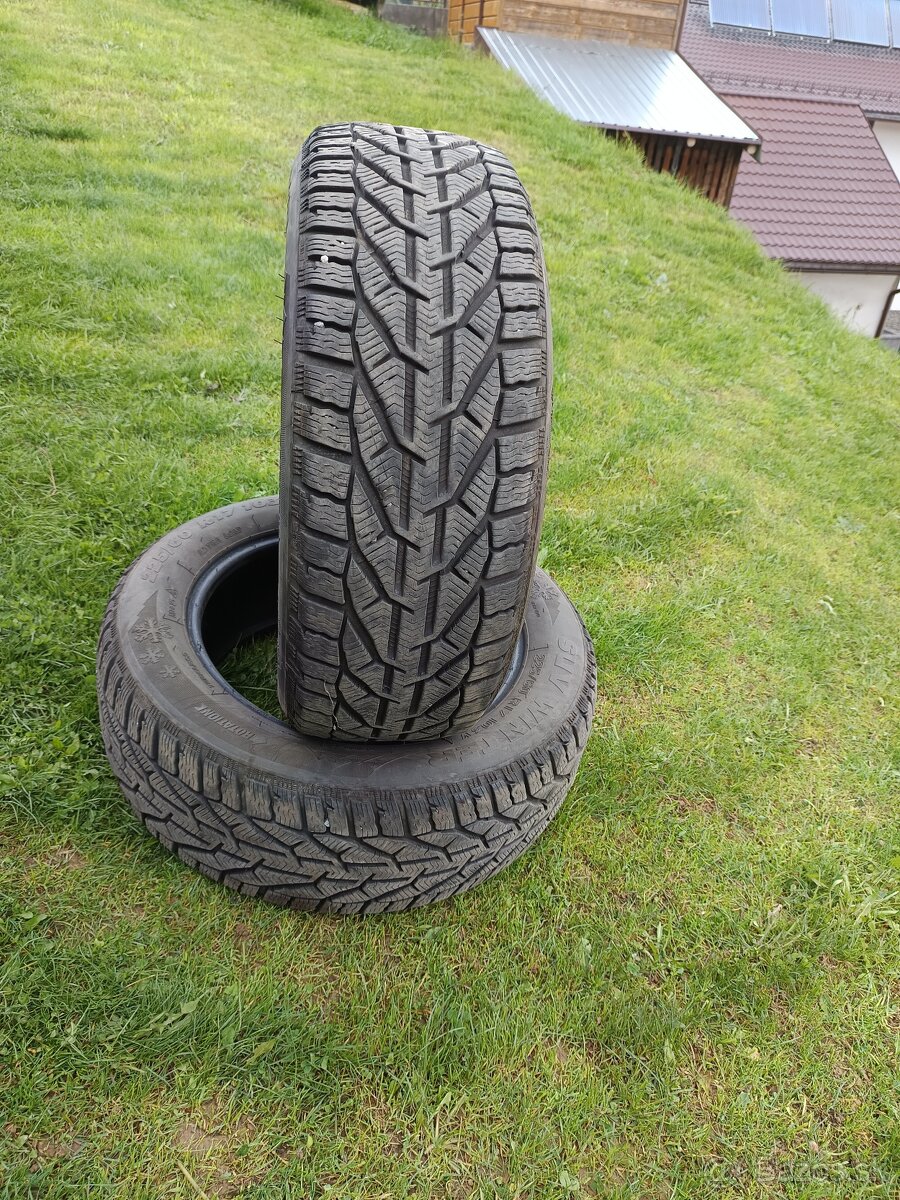 Zimné pneumatiky, 225/60 R17 103V
