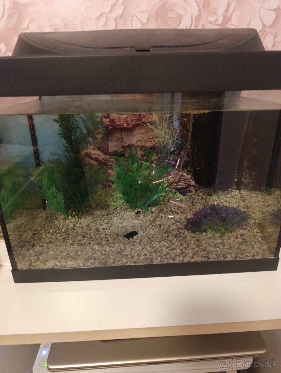 Predám akvárium 30l