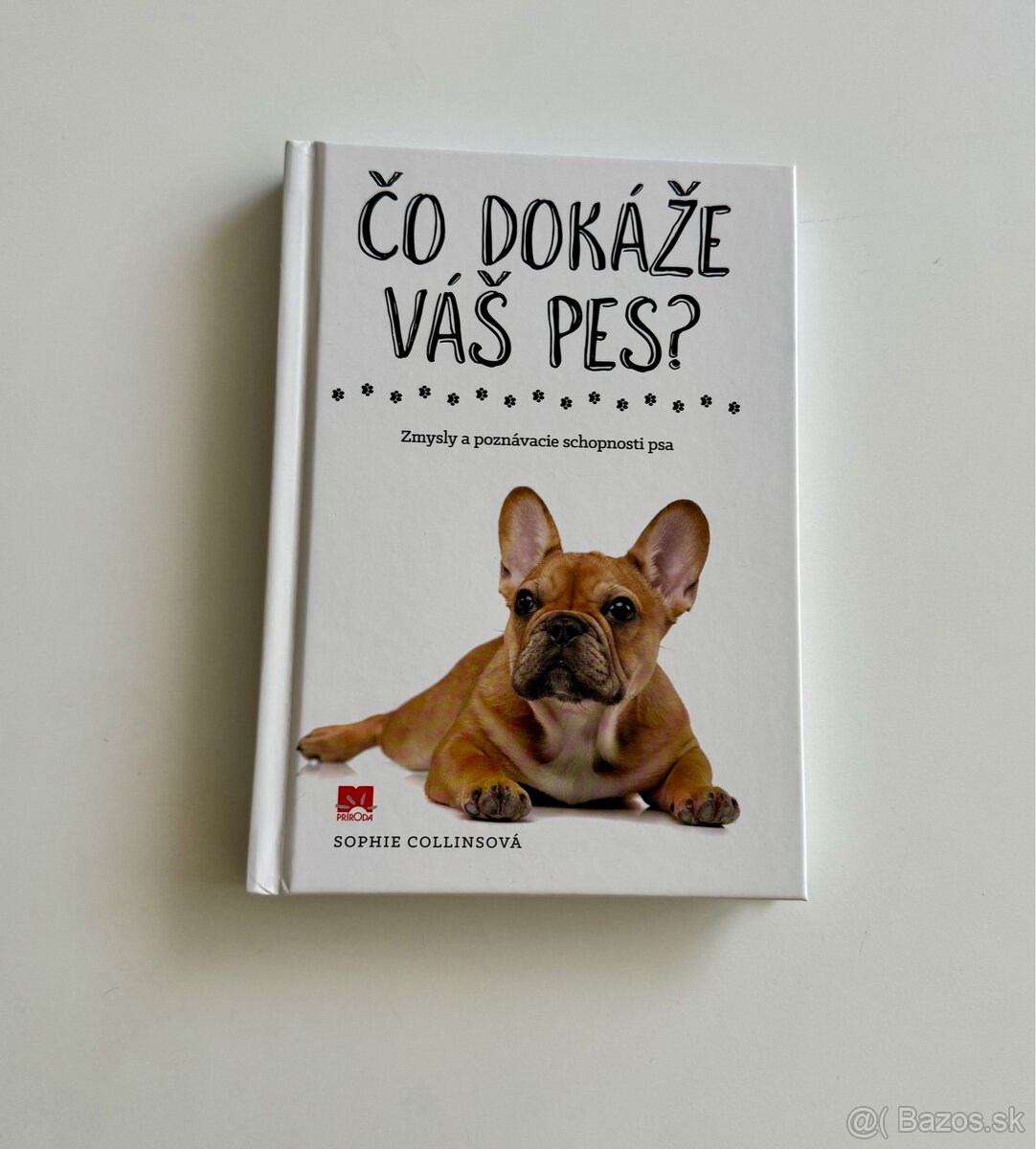 Čo dokáže váš pes? - Sophie Collins