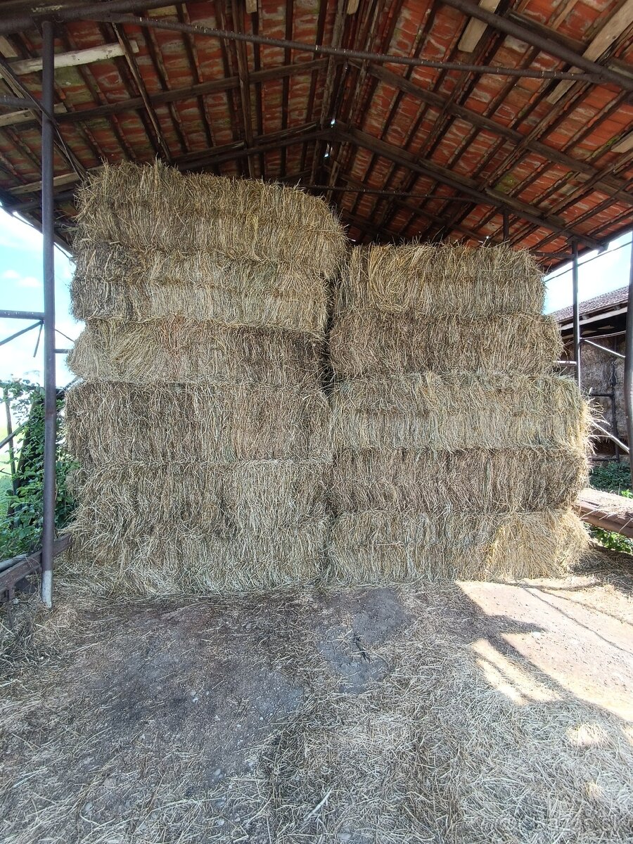 Balíky