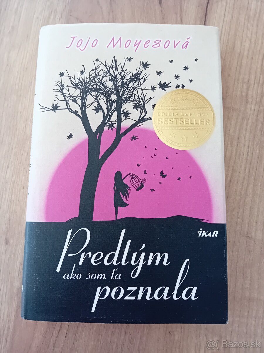 Predtým ako som ťa poznala- Jojo Moyesova