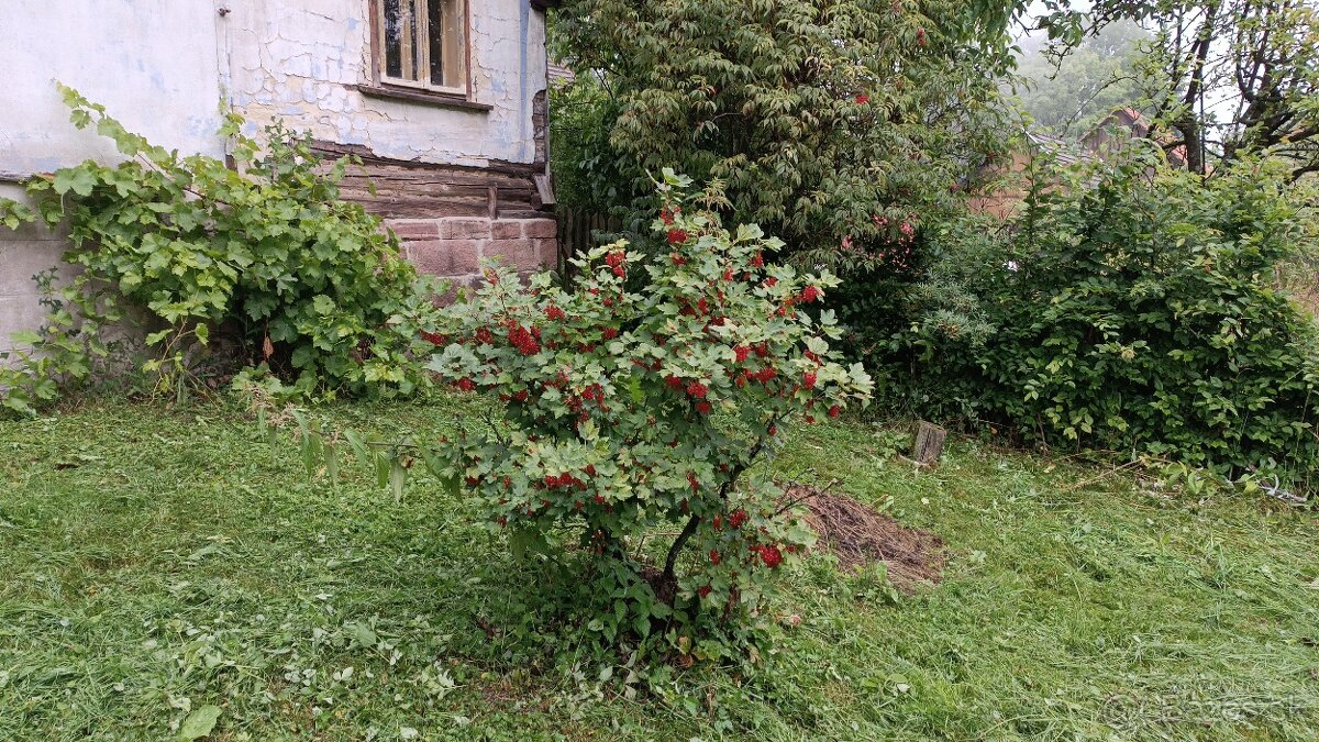 Prodej domu u Kolína, práce v TPCA, možný též pronajem