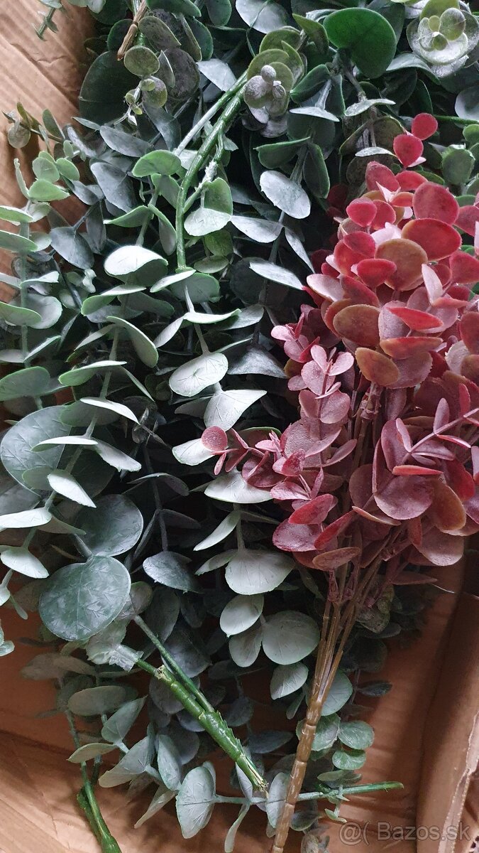 Vyzdoba na svadbu (eukalyptus)