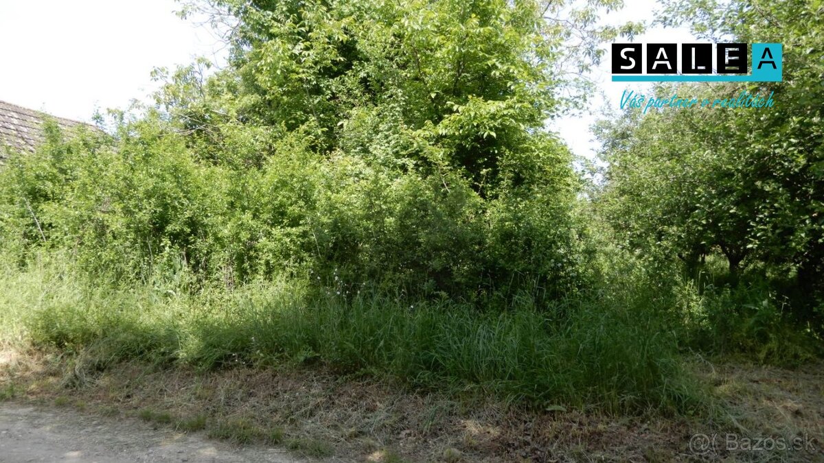 Vinica na predaj, 2500 m2, Farná, okr. Levice