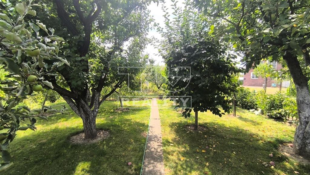Na predaj záhradka s chatkou v meste Partizánske, 200m2