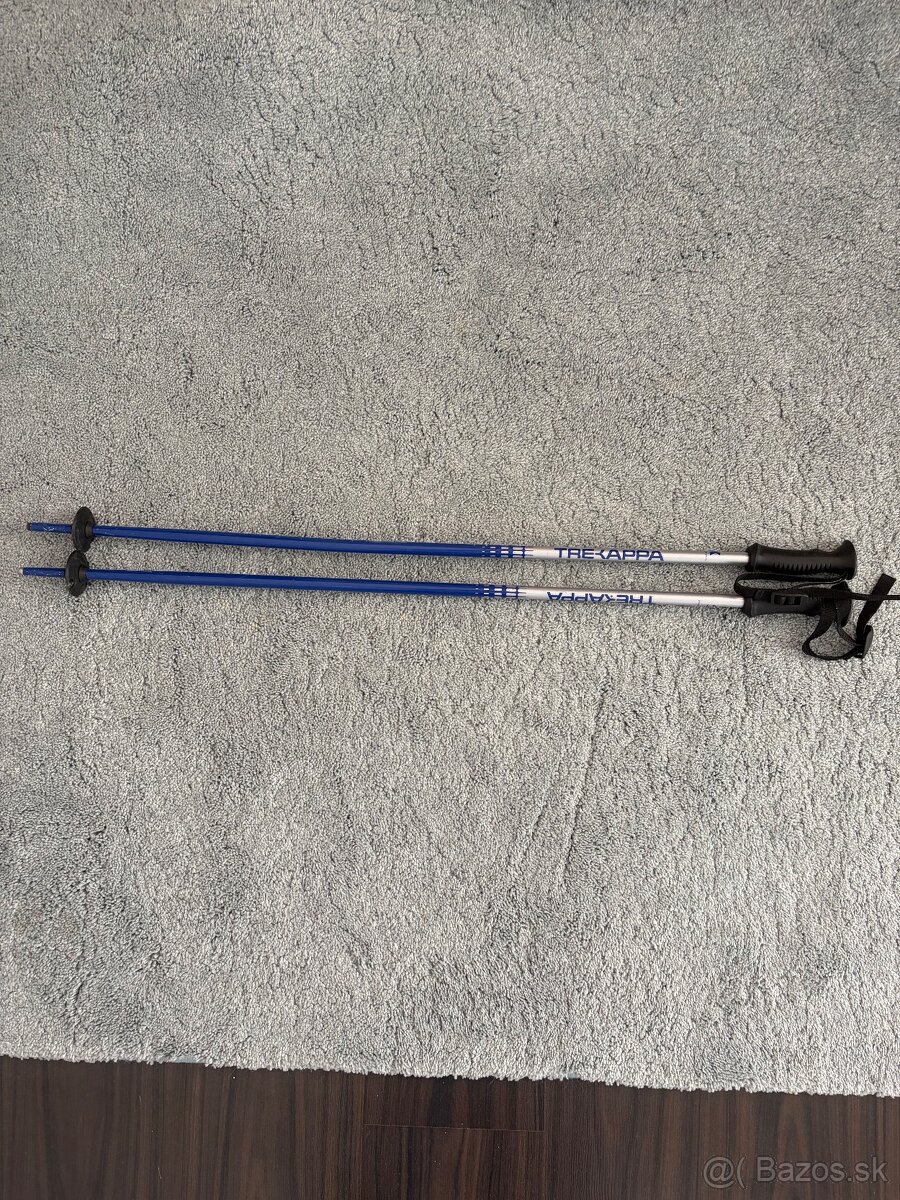 Lyžiarske palice 85 cm