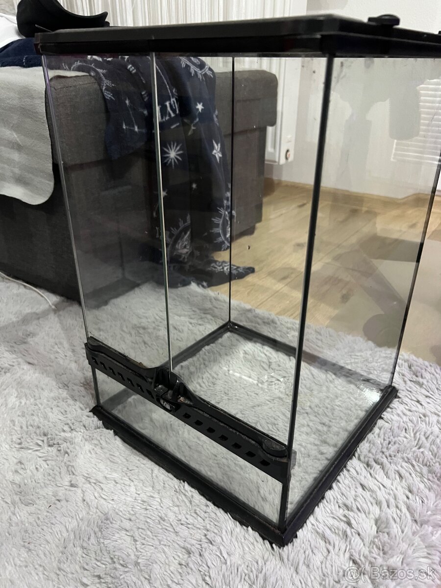 Terarium, terrarium