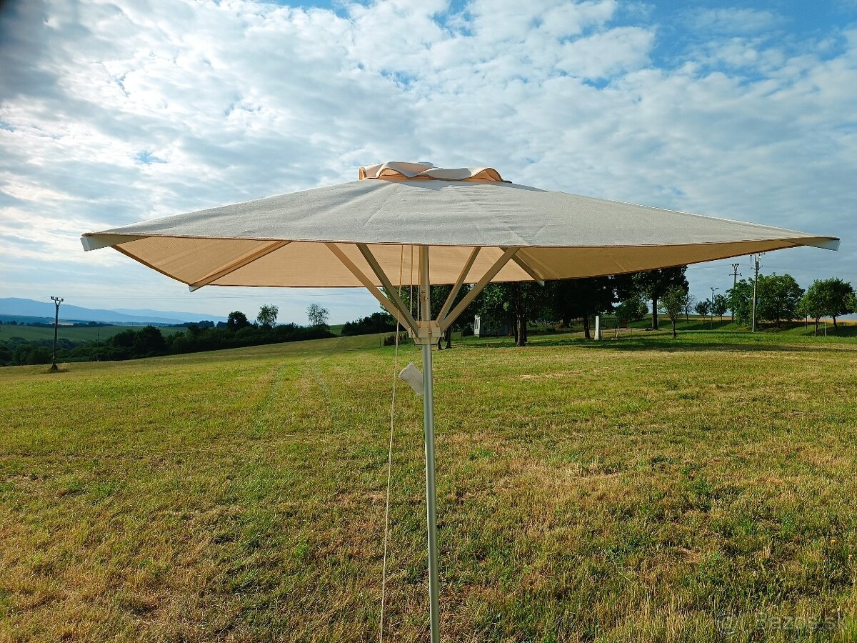 Slnečník Caravita