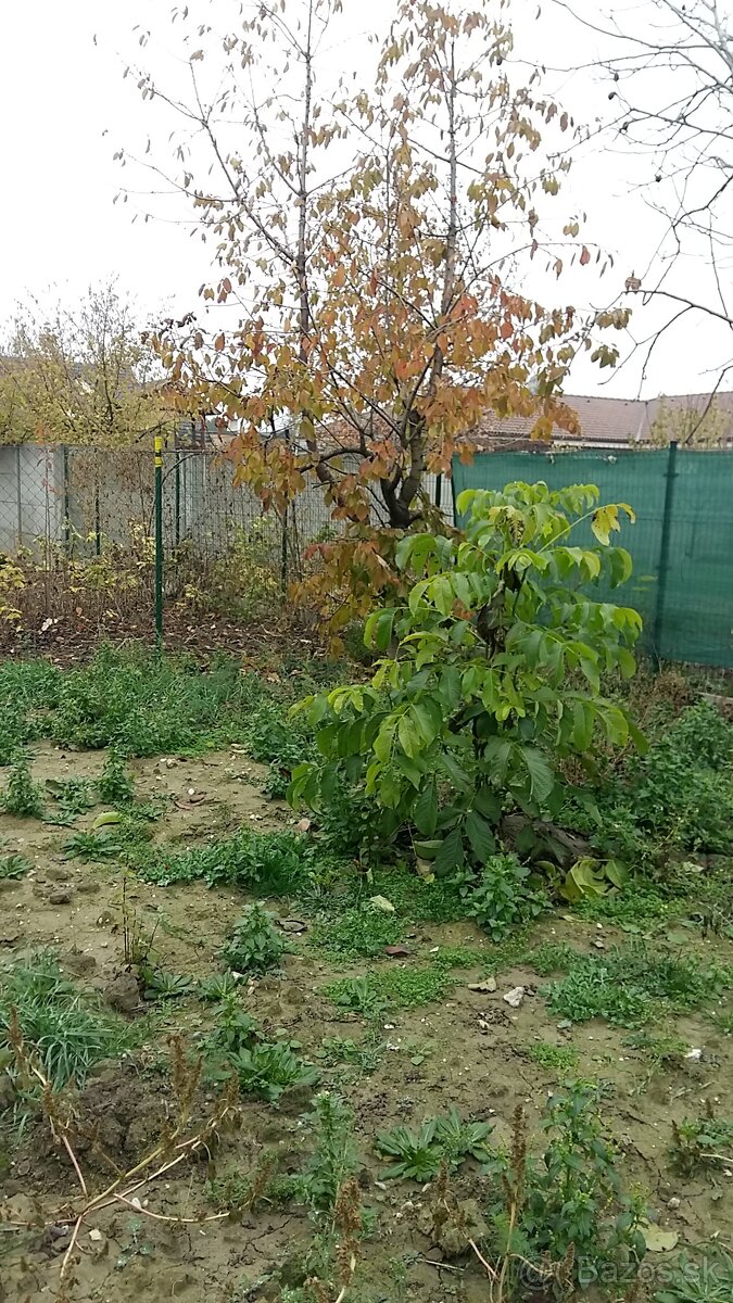 Stavebný pozemok s IS, Miloslavov časť Alžbetin Dvor