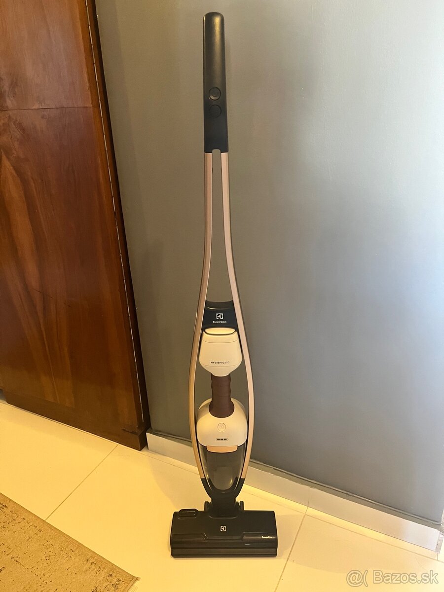 Tyčový vysávač Electrolux ES62P25WET 600 Wet