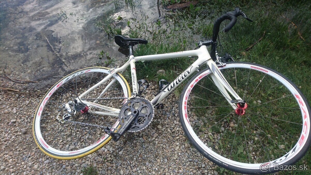 Celokarbon Wilier Triestina Mortirolo (It)ultegra(Jpn)(Shima