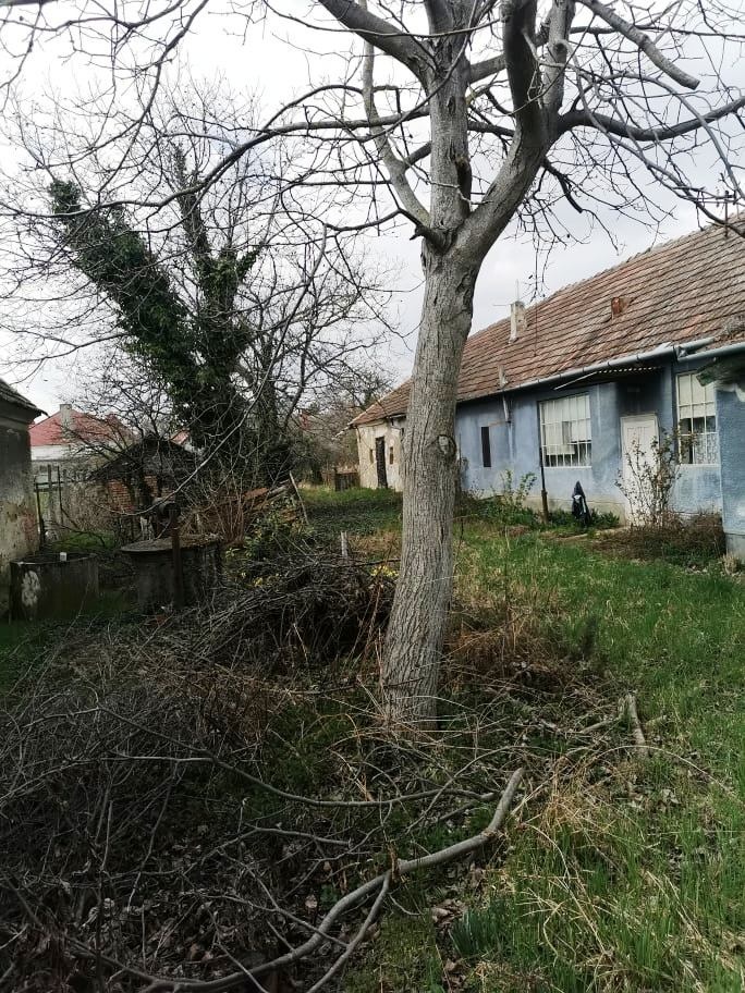 Na predaj rodinný dom vo Vlčanoch