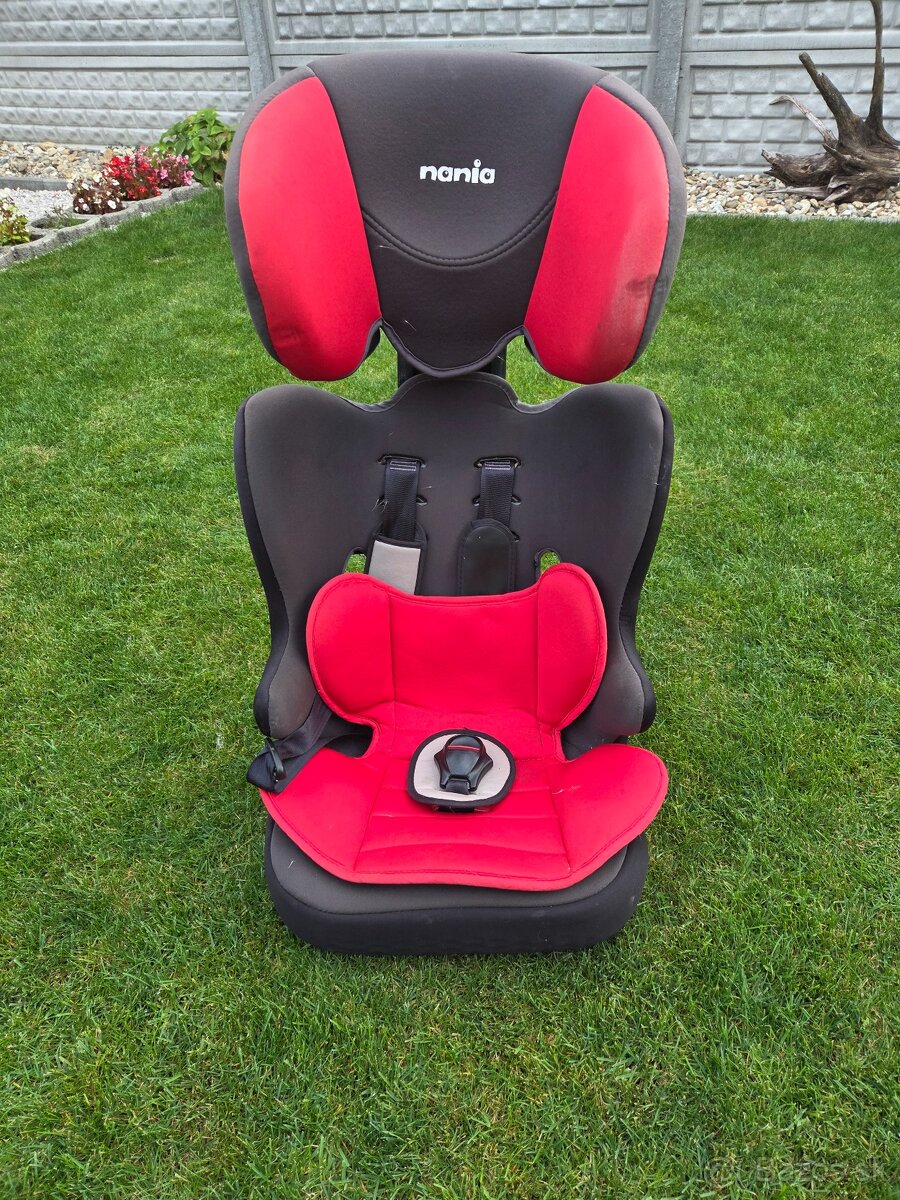 Autosedacka nania