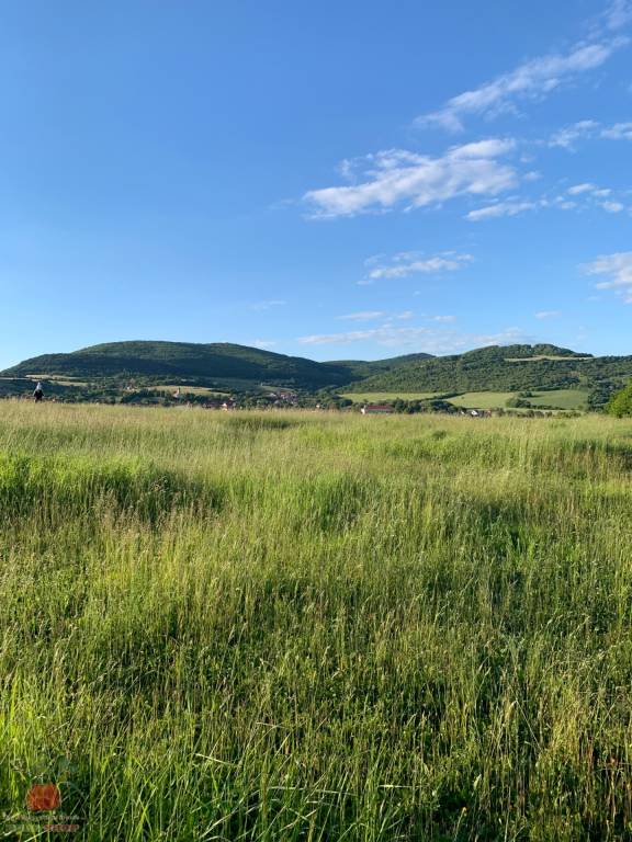 Predaj pozemok v prírode Jedľové Kostoľany