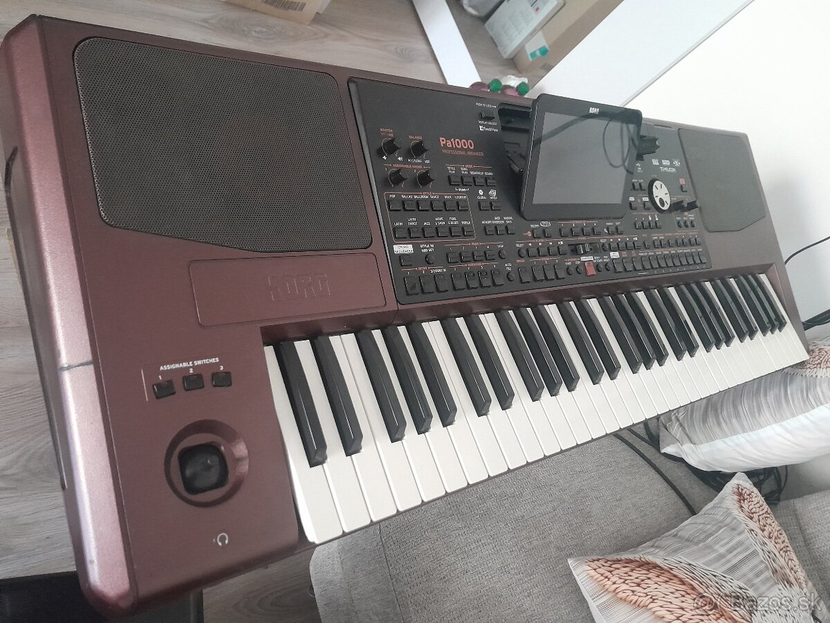 Korg pa1000 profesional