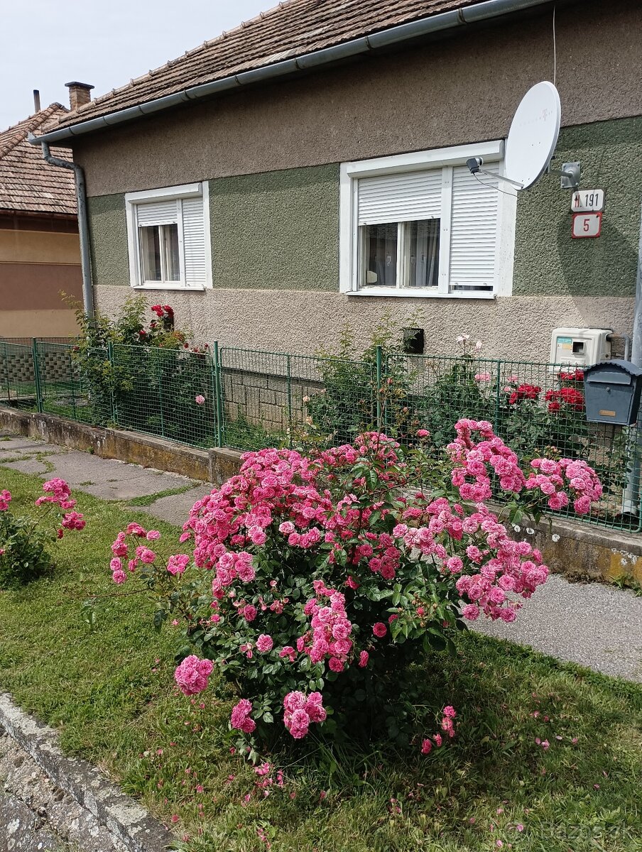 Dom na predaj