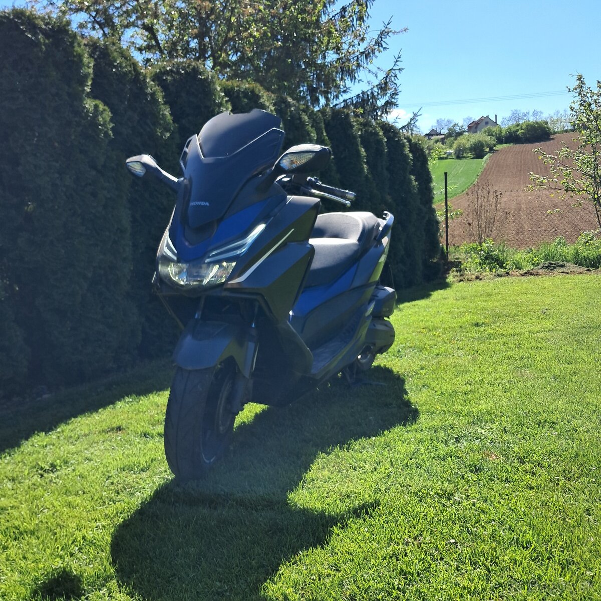 Honda forza 125