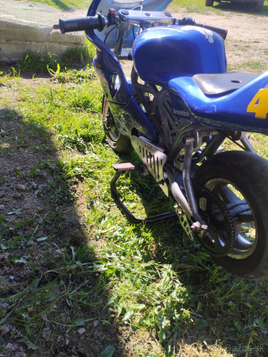 Predam Yamaha piolanti