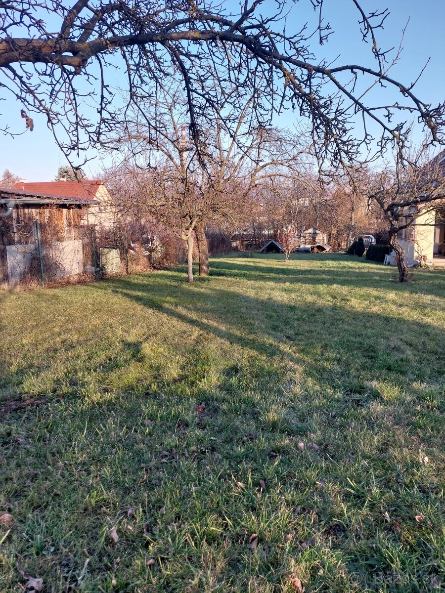 Zl.Moravce na predaj murovaná chatka so záhradou a vinicou