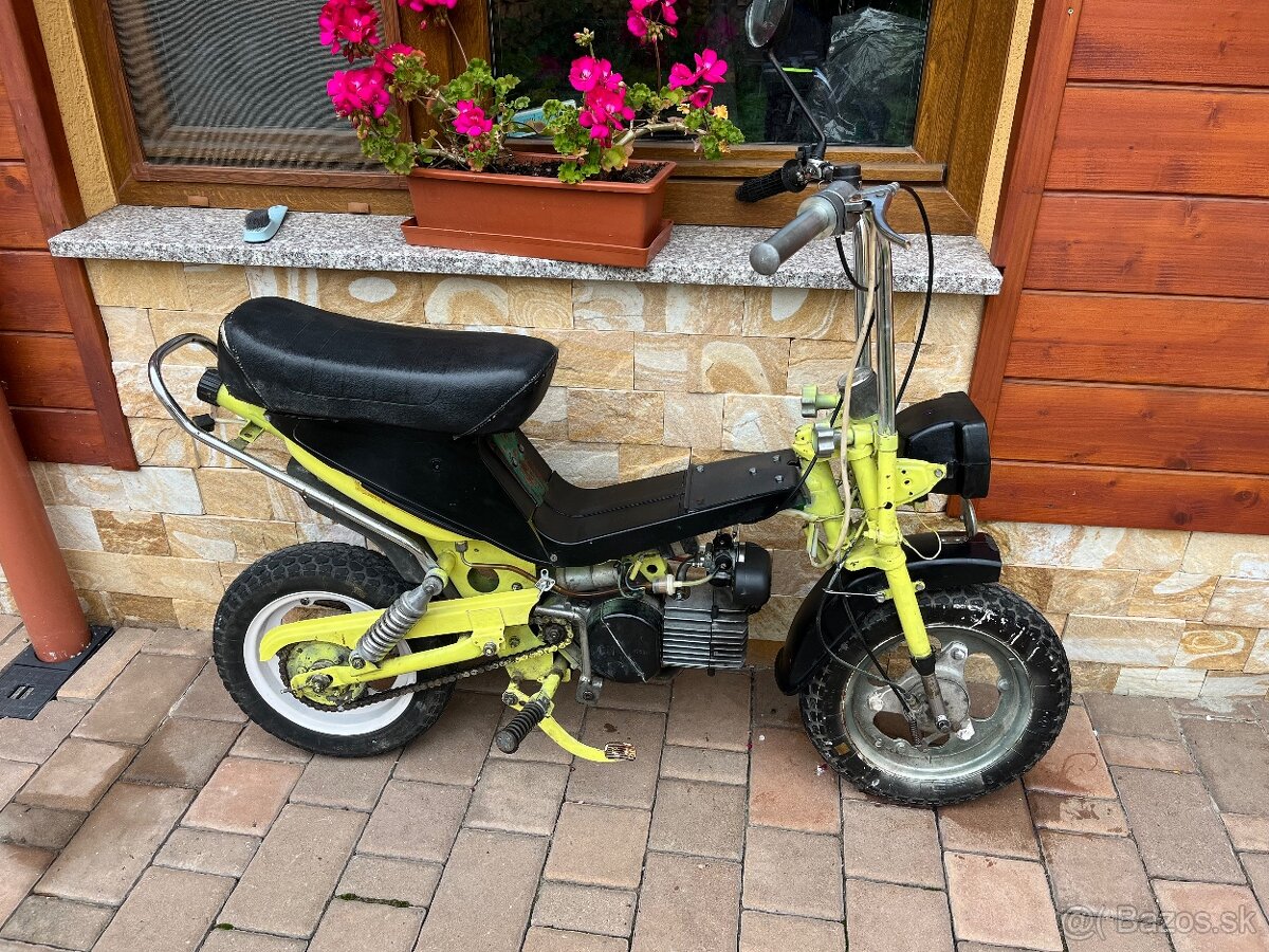 Stella Babetta 134