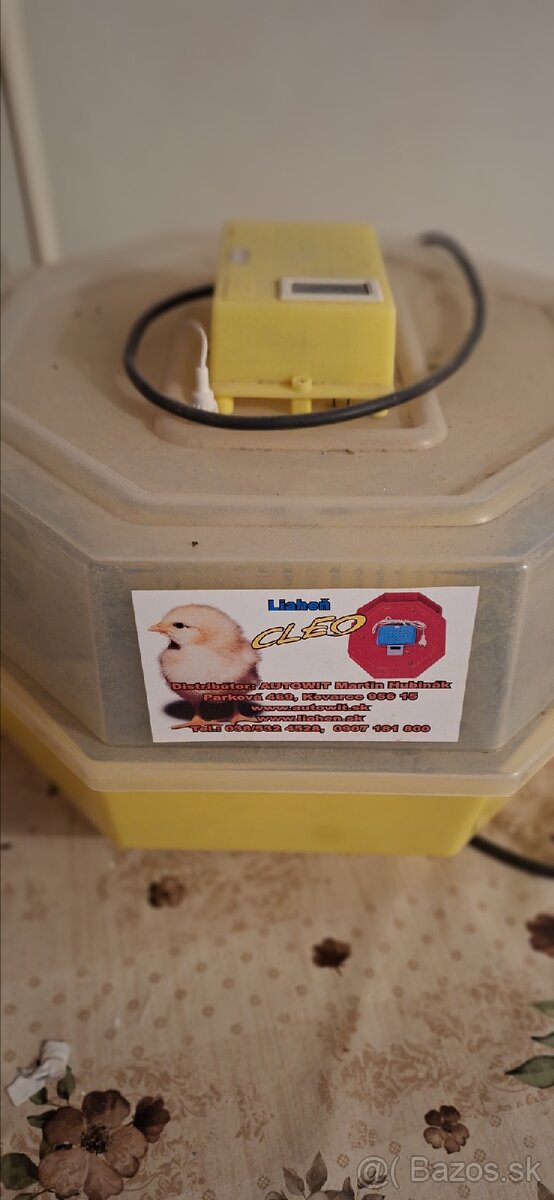 Predám liaheň Cleo s digitálnym teplomerom