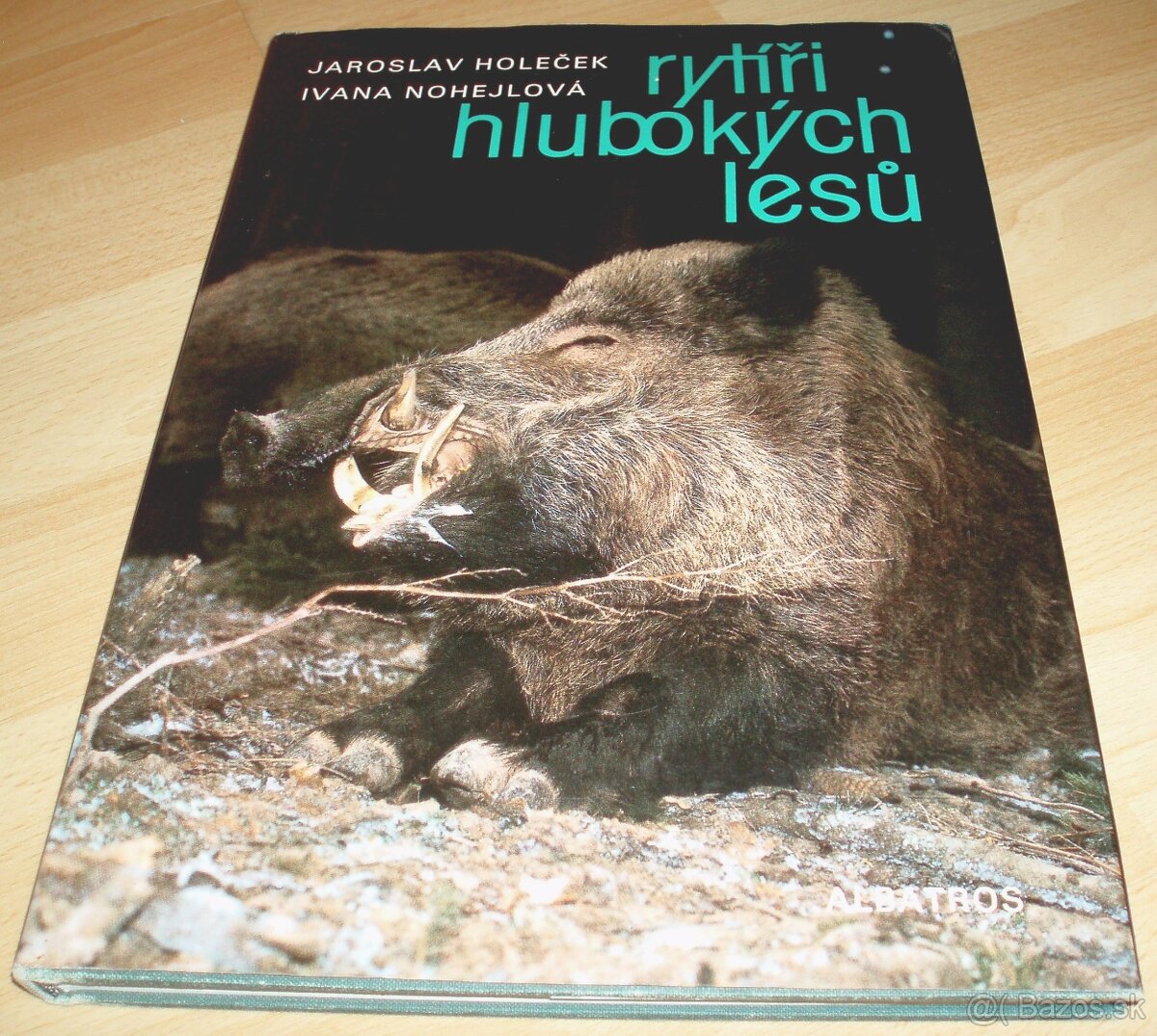 Rytíři hlubokých lesu