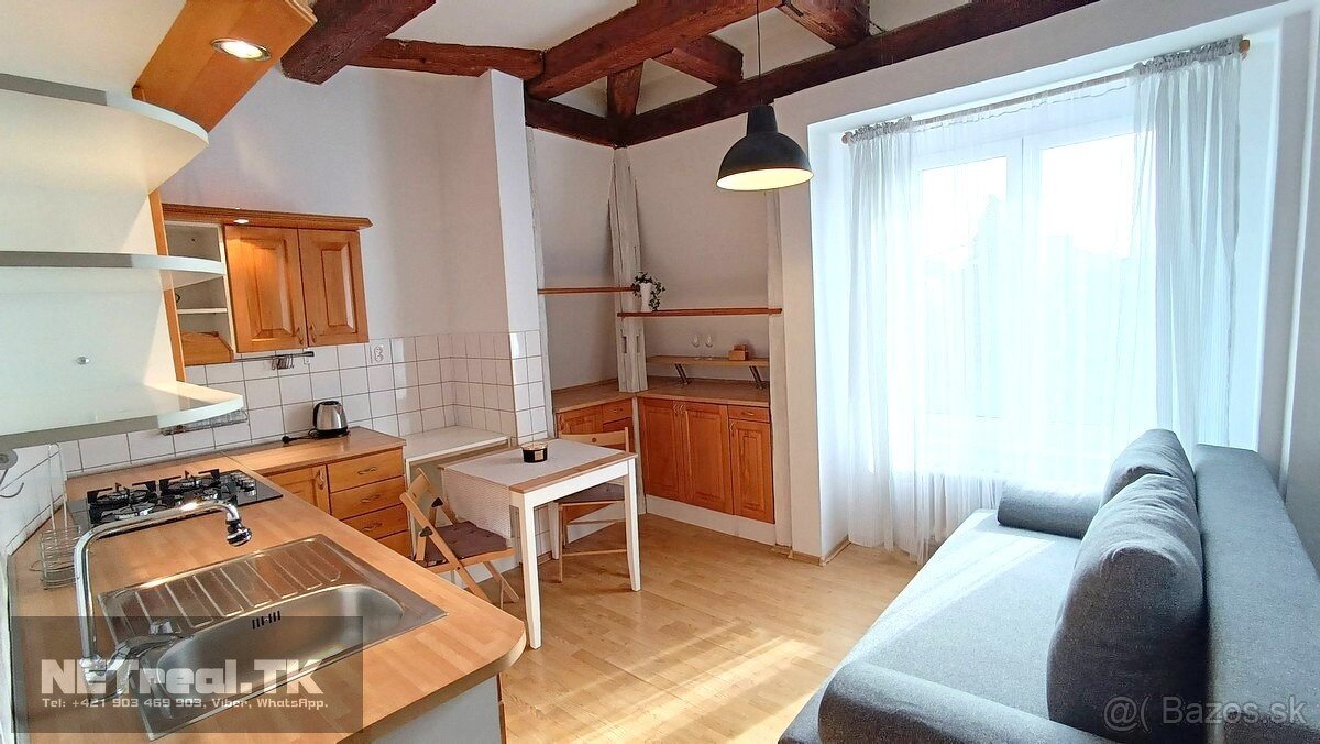 ROMANTICKÉ BÝVANIE – ATYPICKÝ PODKROVNÝ- Garzónka -