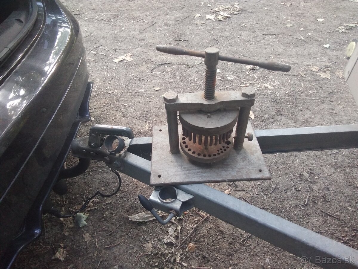 Lis na naboje