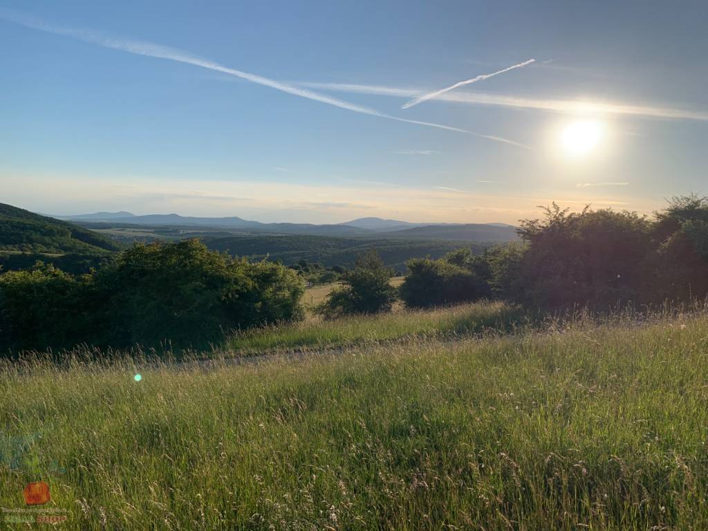 Predaj pozemku v prírode Jedľové Kostoľany