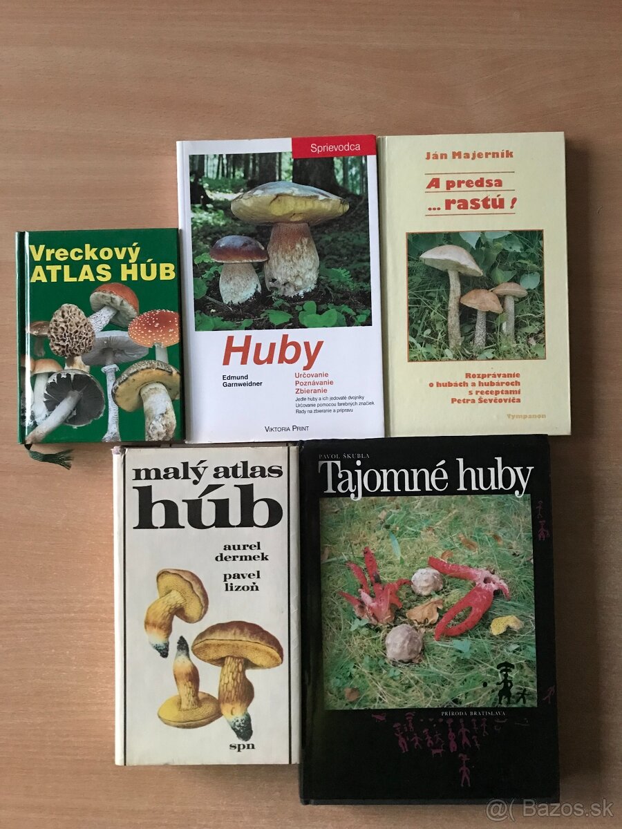 5 x huby