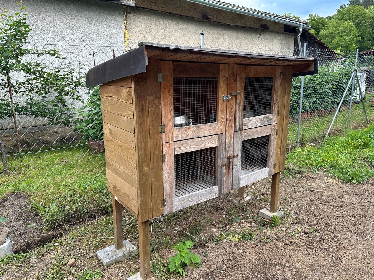 Zajačník/králikáreň
