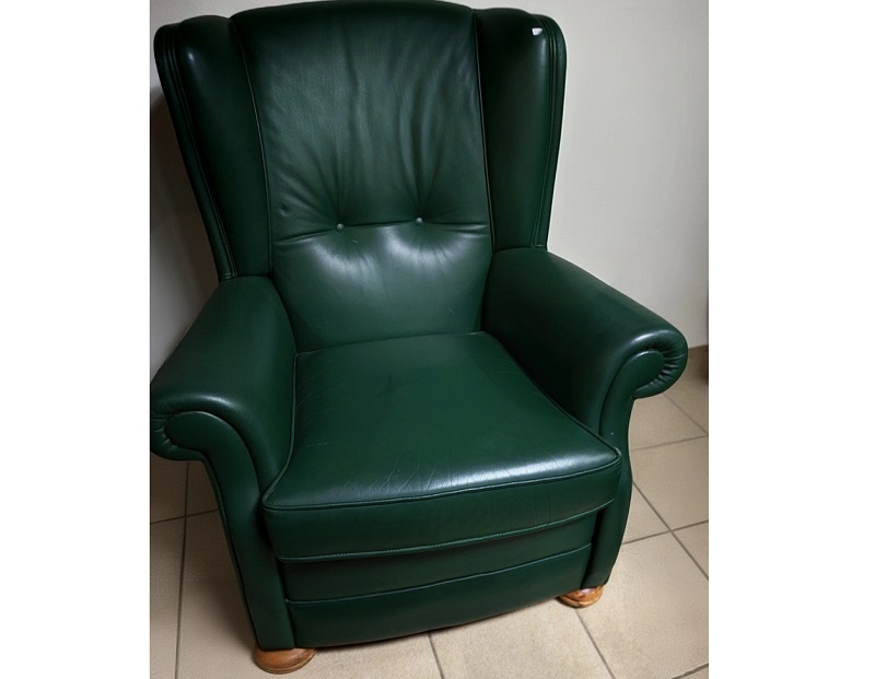 Kreslo celokožené Ušiak