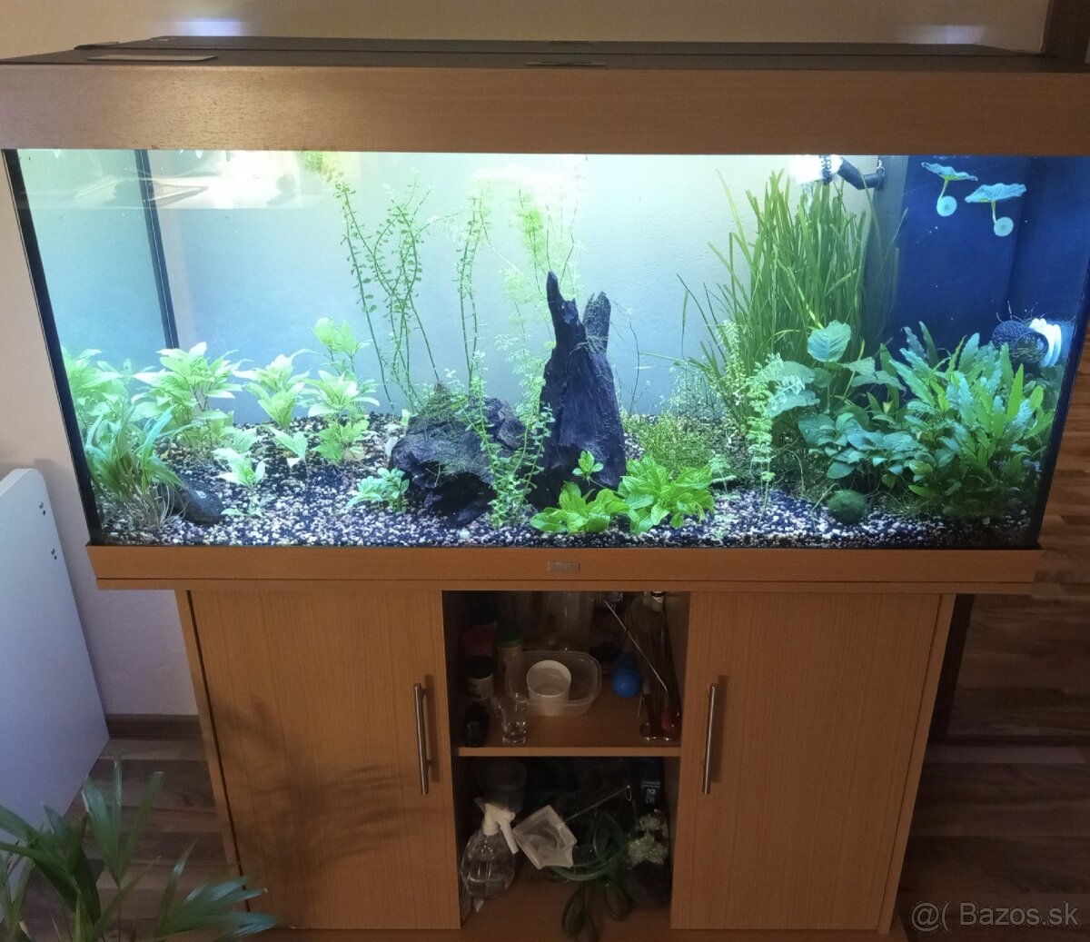 Predám akvárium