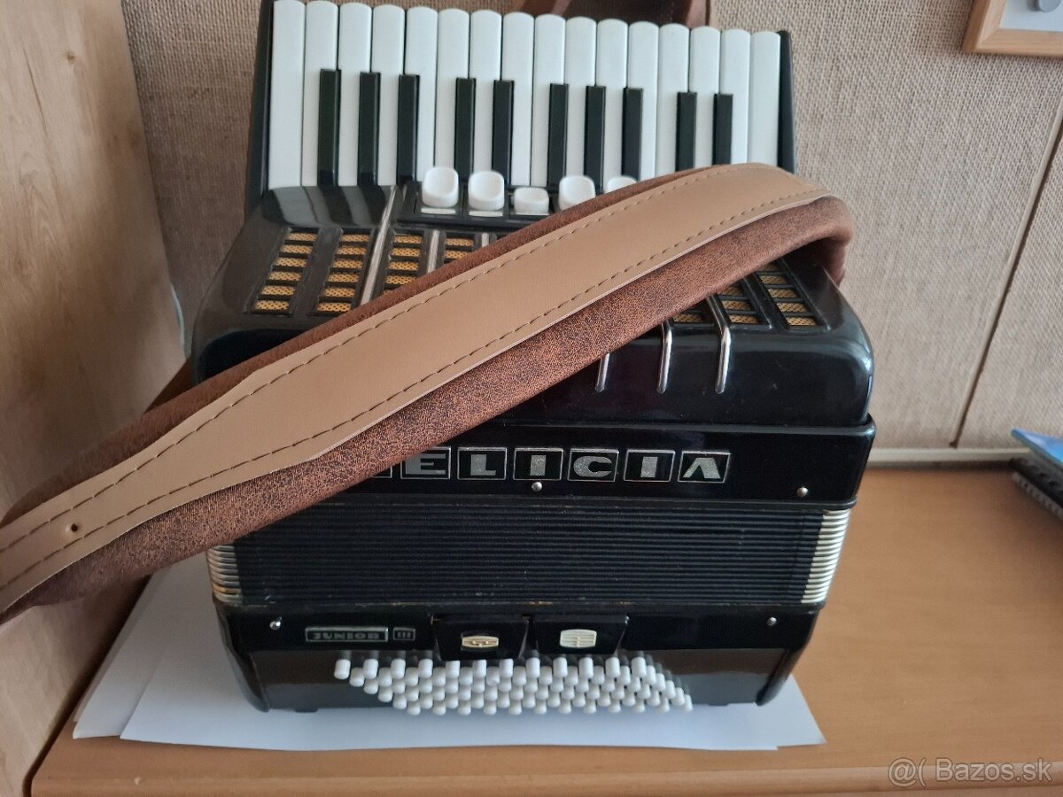 Akordeon DELICIA JUNIOR III,72 basovy