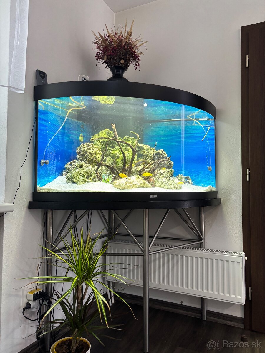 akvárium juwel trigon 350 + stolik