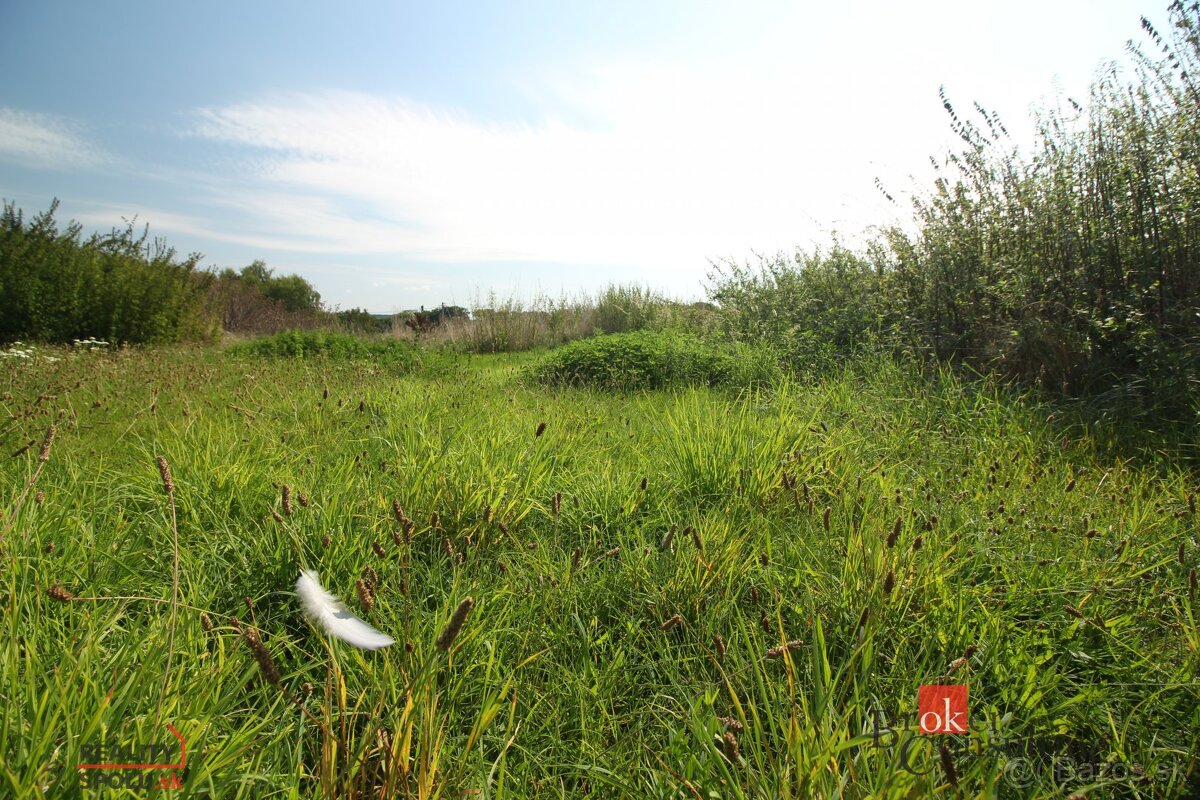 Projekt Rezidencia pod Lesom