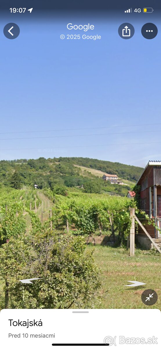 Predam pozemok v obci Viničky