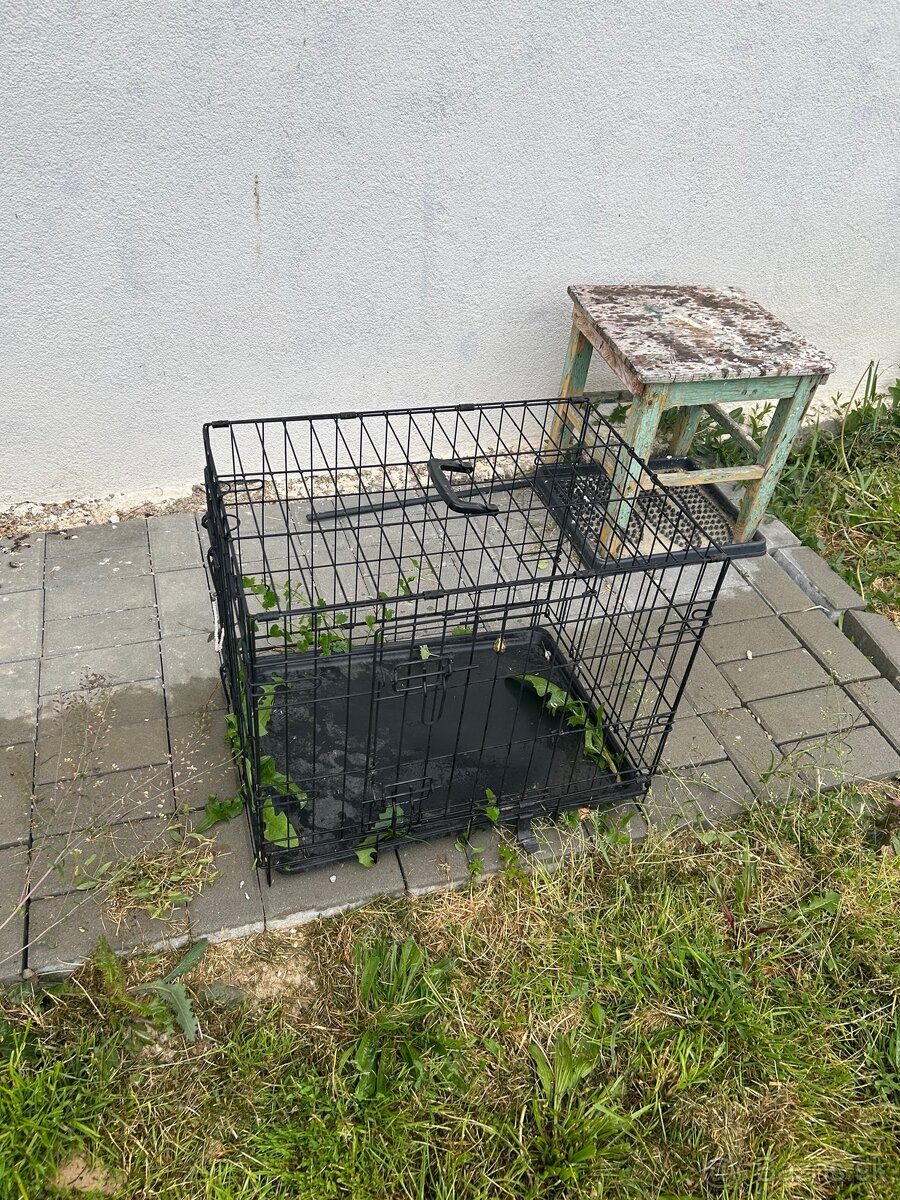 klietka na psa