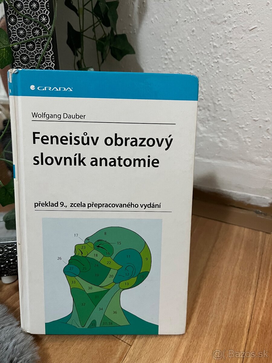 Anatómia