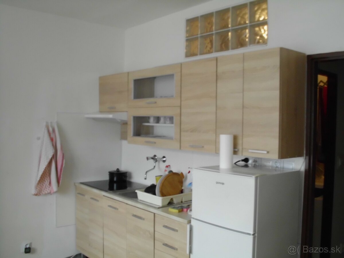 Prenájom jednoizováho bytu