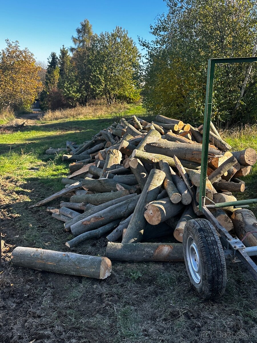 Palivové drevo