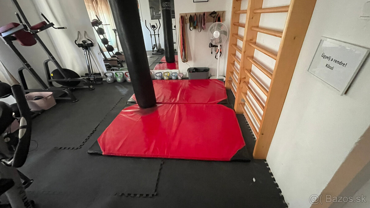 Gymnastická žinenka mäkká MC-M002 Marbo Sport