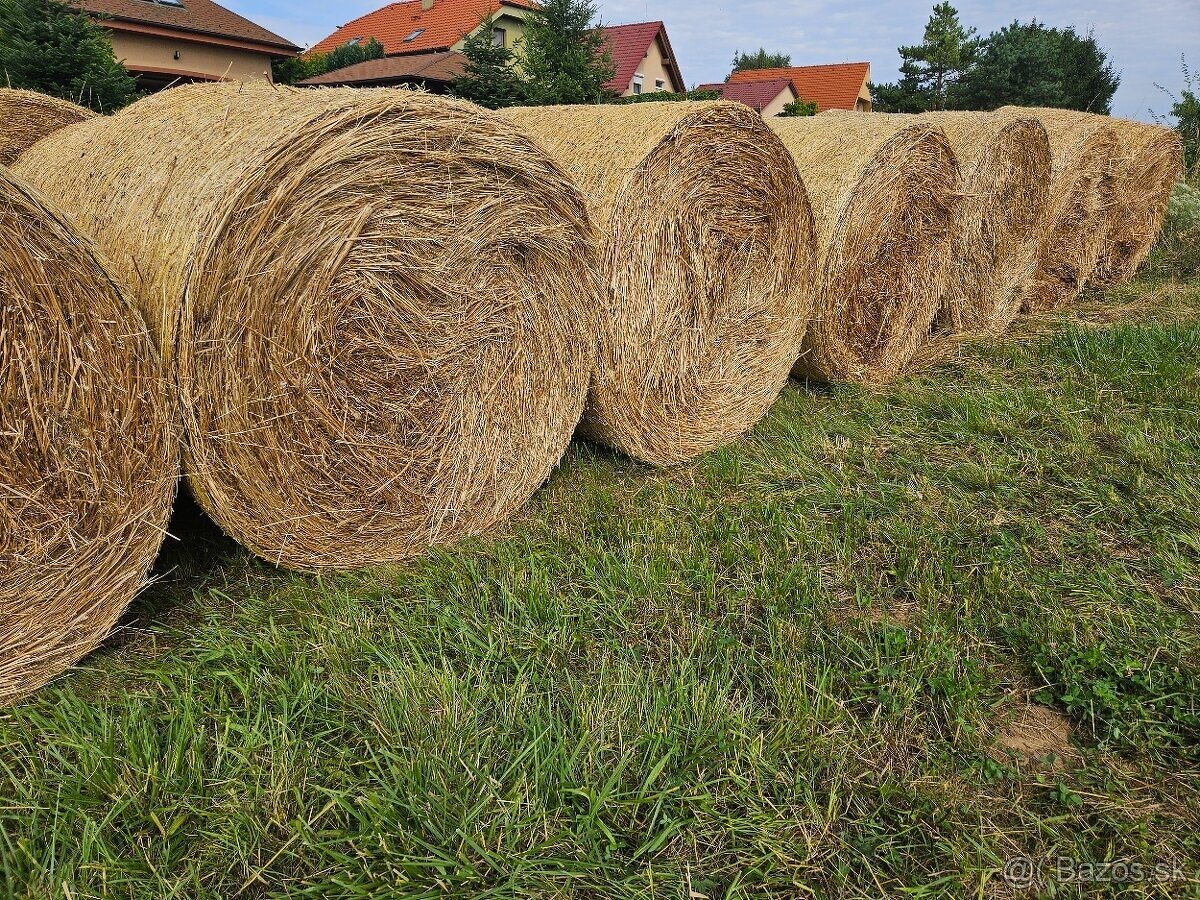 Predám seno veľké balíky