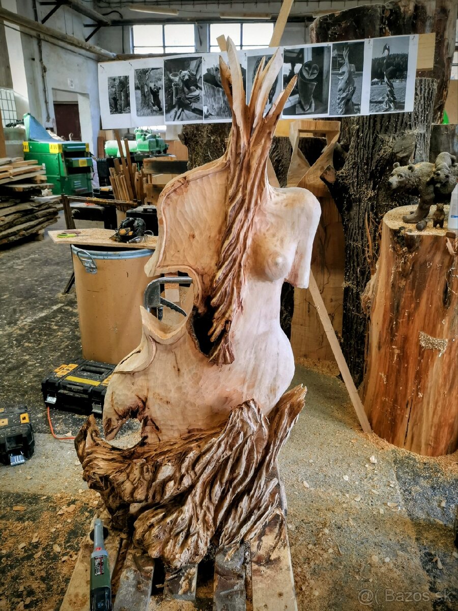 Basa-zena