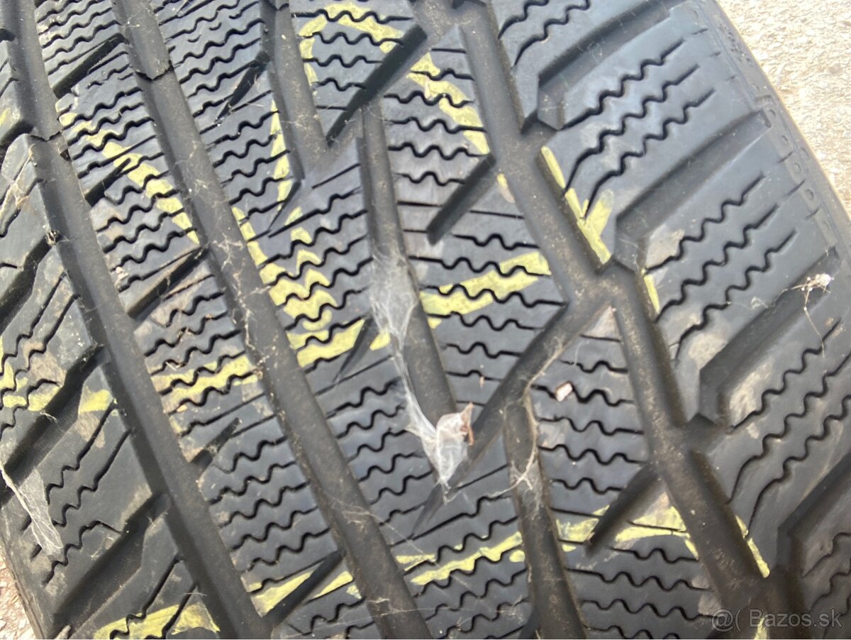 225/50R17 zimná