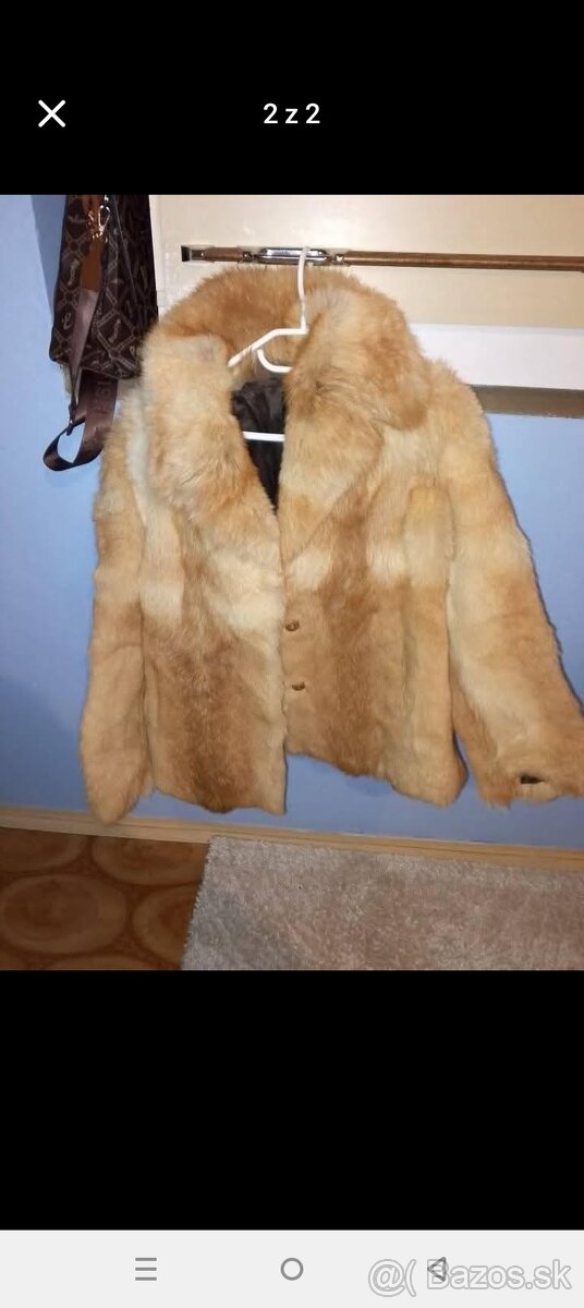 Kabát