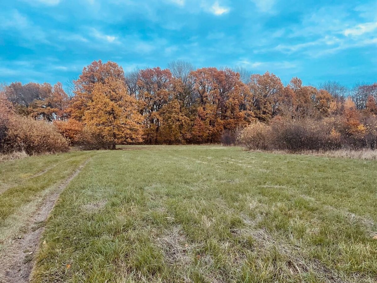 Pozemok - Lúka, Malé Leváre, 26 385 m²